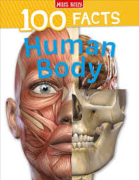 100 Facts: Human Body by Miles Kelly