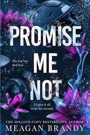 Promise me not (Boys of Avix #2)