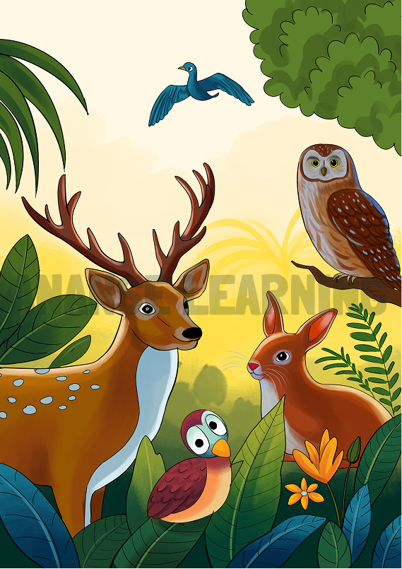 Animal Wall Posters