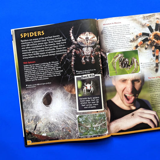 Discover Spiders