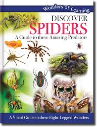 Discover Spiders