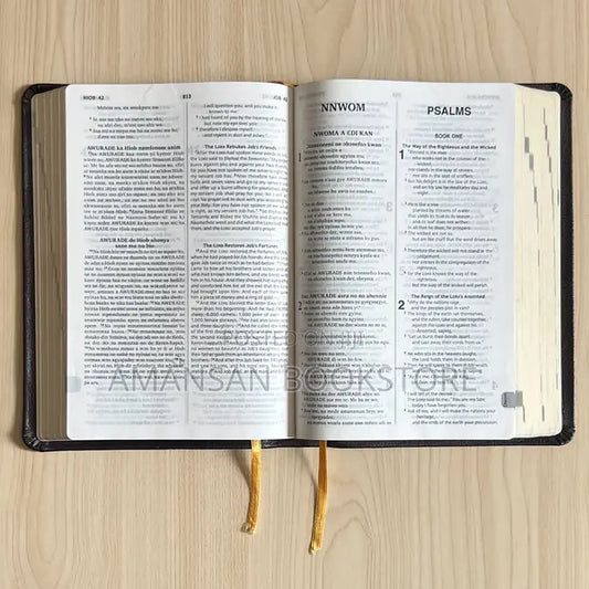 Large Print Twi Bible - City Reads Books and Stationery
