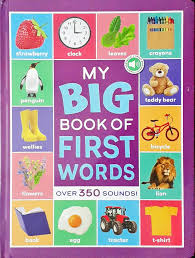 My Big Book Of First Words Sounds Book.