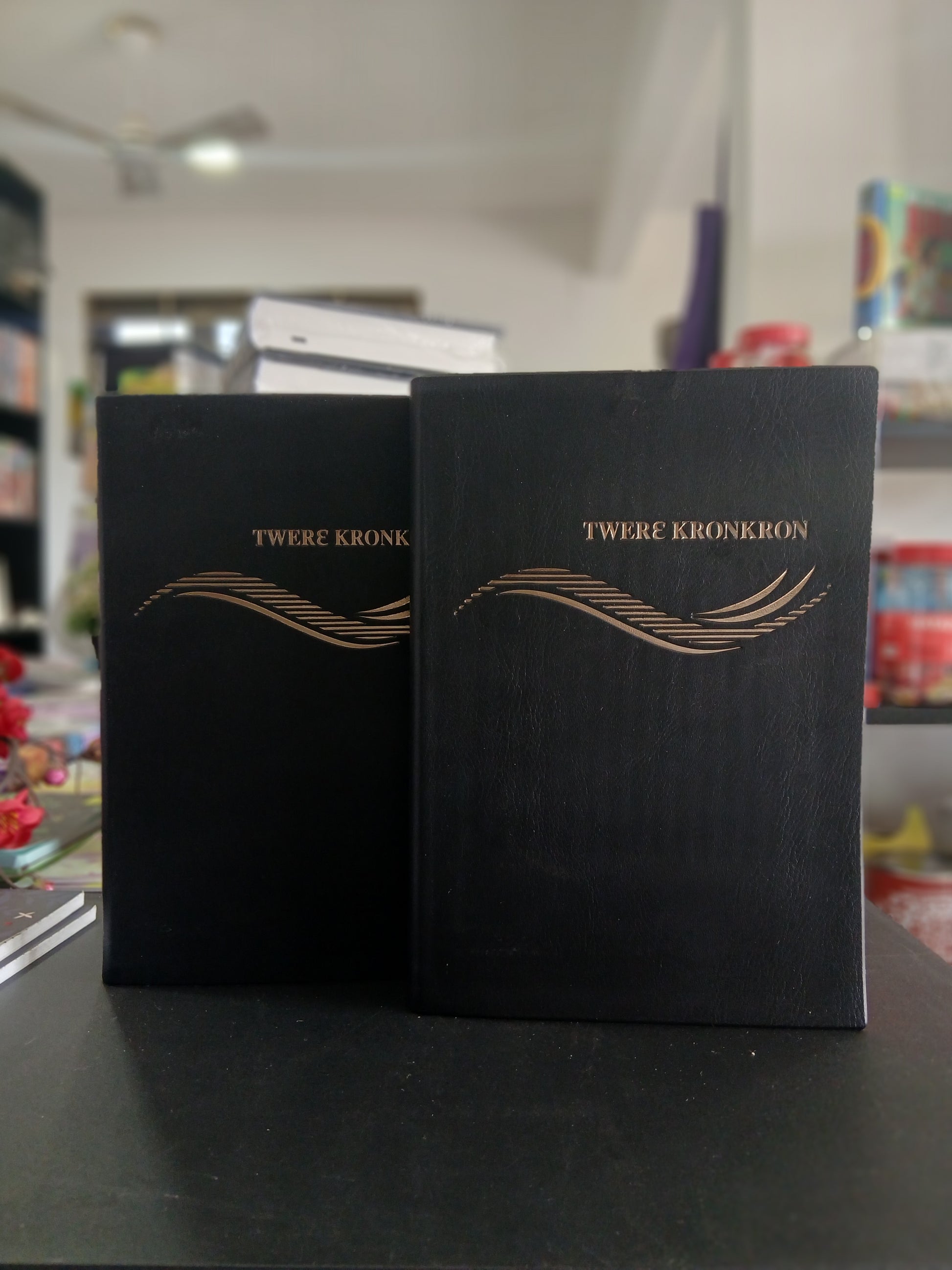Asante Twi Bible - City Reads Books and Stationery