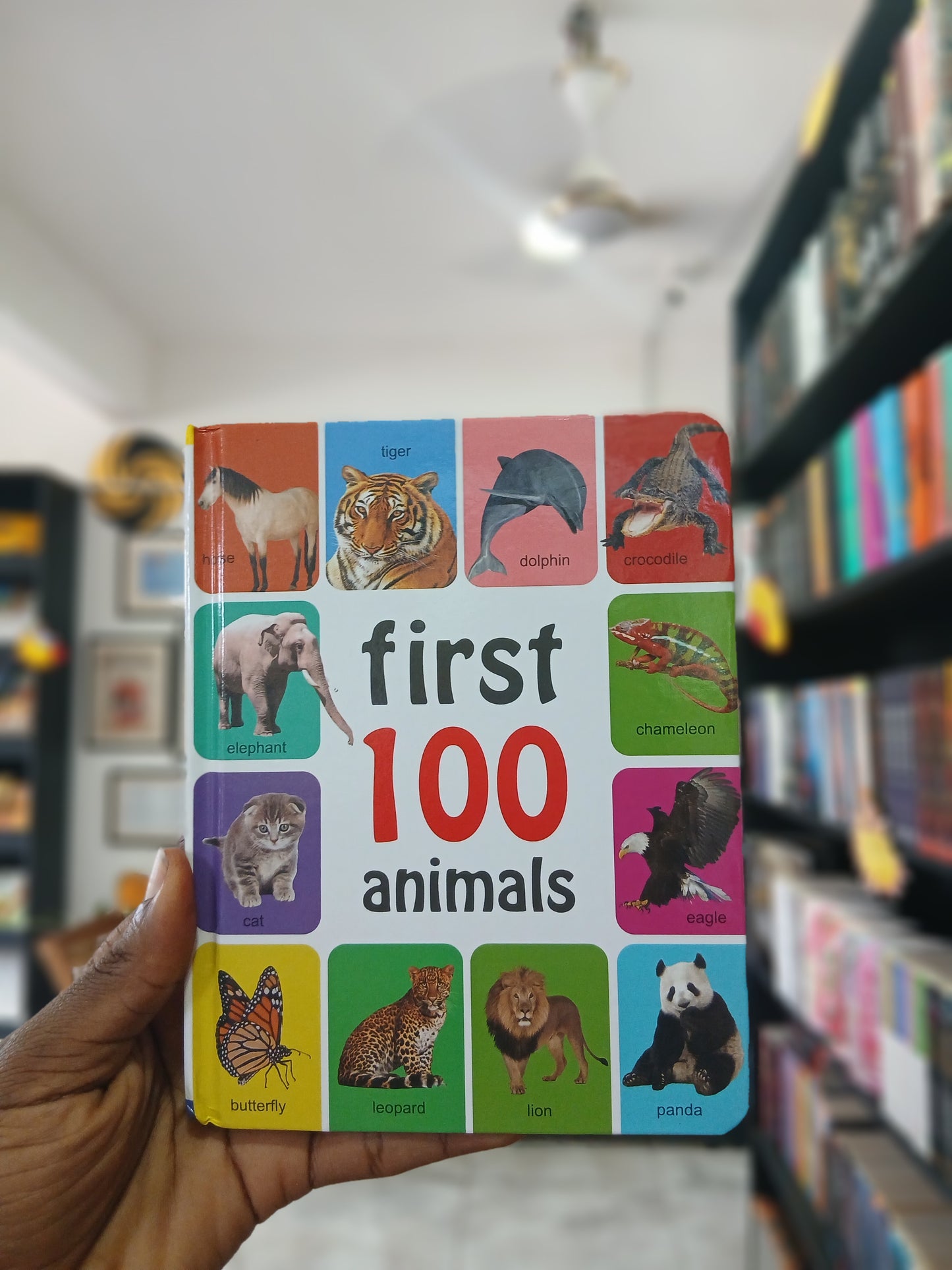 First 100 Animals