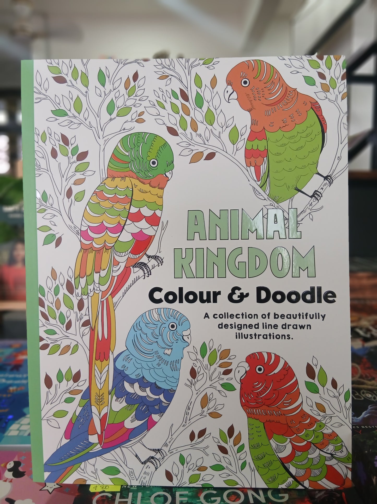 Color & Doodle: Adult Colouring Books