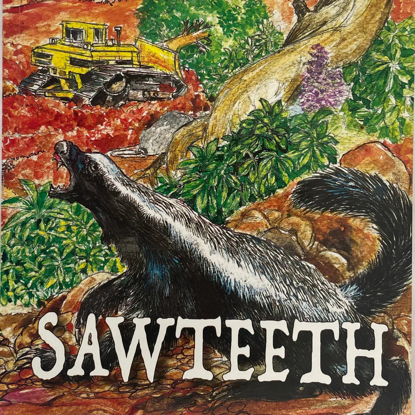 Sawteeth