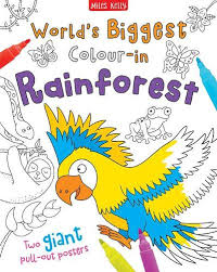 World's Biggest Colour-in Rainforest