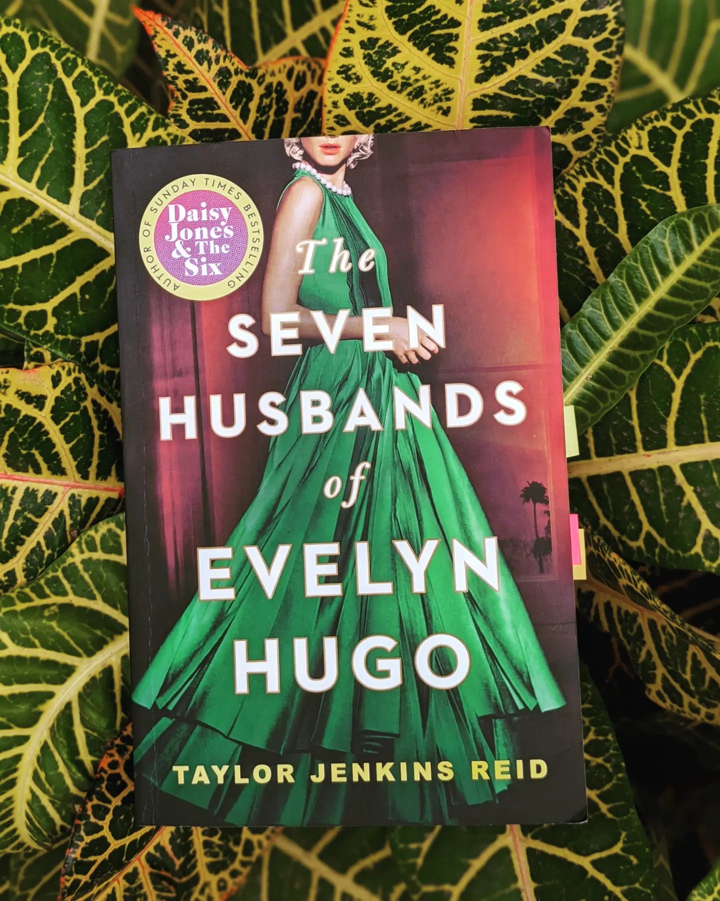 Seven Husbands of Evelyn Hugo-City Reads Bookstore